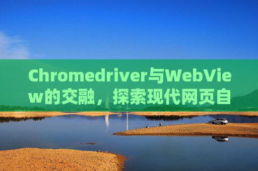 Chromedriver与WebView的交融，探索现代网页自动化的新境界